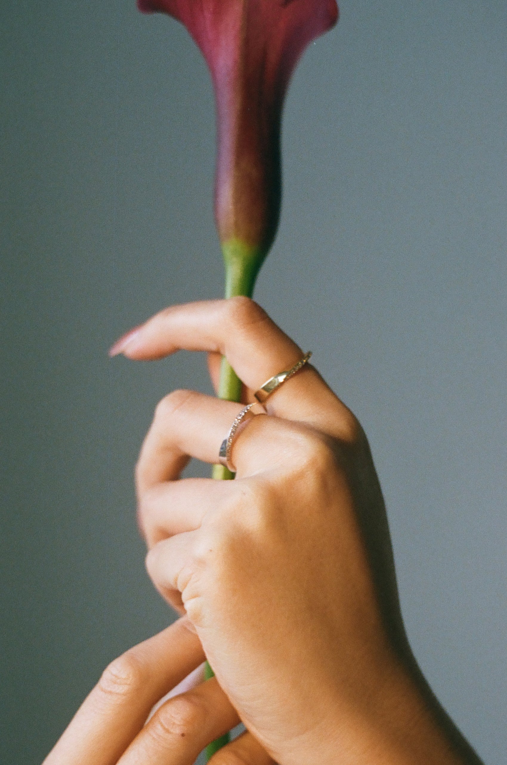 Infiniti Twist Ring